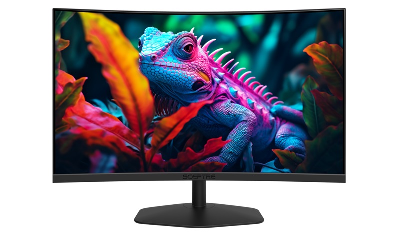 Sceptre C248W-FW100T 24-inch curved gaming monitor