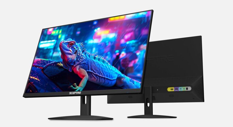 Sceptre E248W-FP100T 24-inch Gaming Monitor