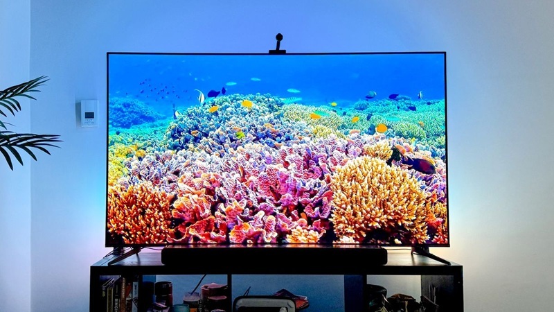 TCL 65Q651F 65-Inch QLED 4K Smart TV (Q65 Series) 